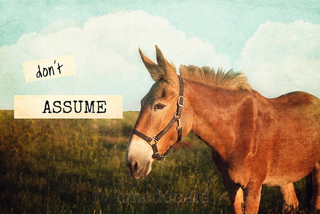 Don't Assume - HUMOR - 11 x 14 Photographic Print.