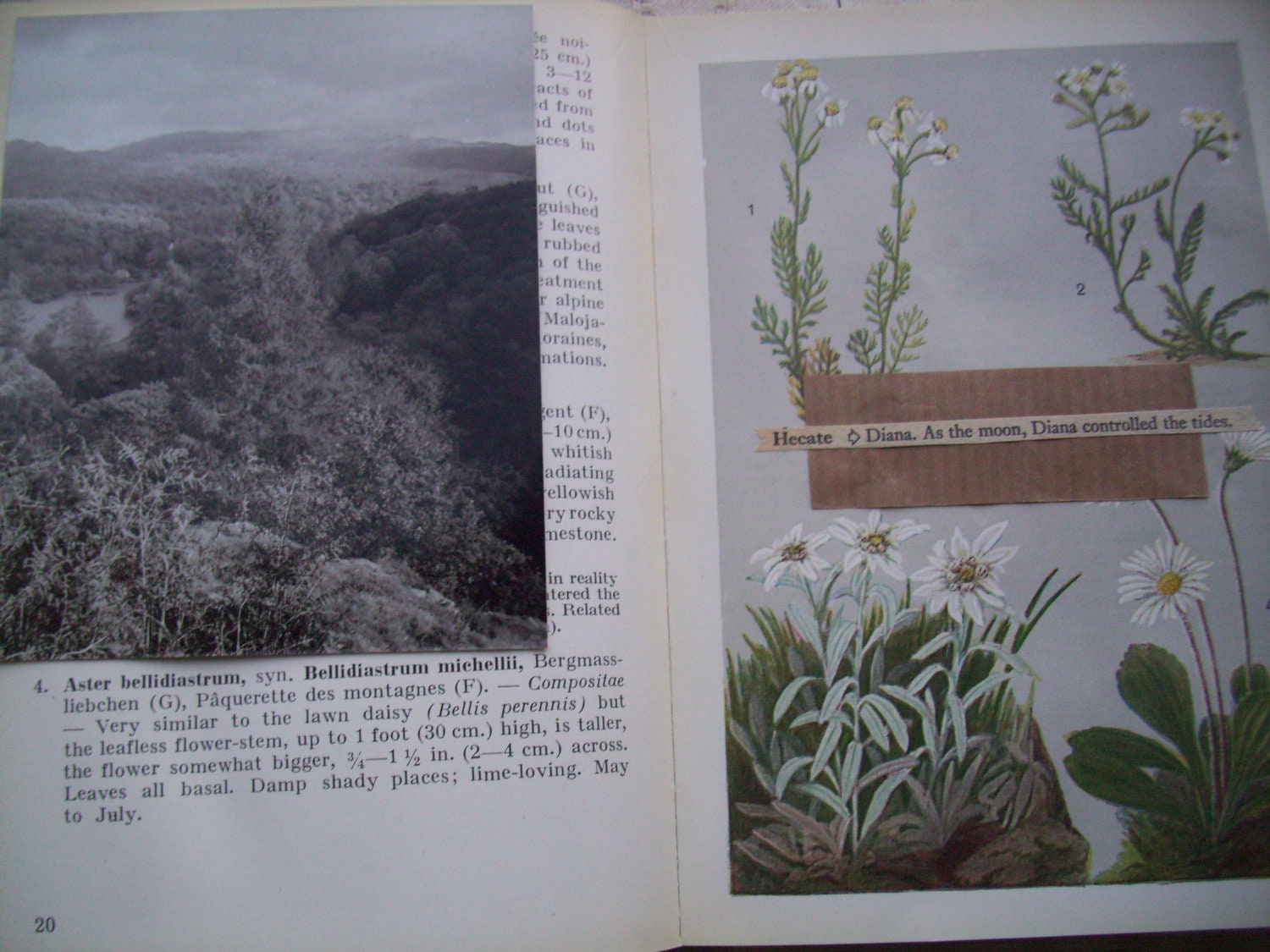 An altered book : Journal of my travels. Complete with original photographs, watercolours, sketches and stitching.