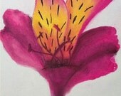 Flower, Pink and Orange Lily, Still Life Original Fine Art Chalk Pastel. Size A5, 8 x 6"