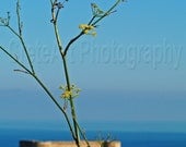 The Fort - an image of Aptera Fort, Crete- Cretan photographic print