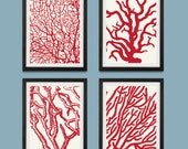 Coral Wall Art Series A - Home Decor Set of 4 8x10 Print