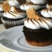 Smores Cupcakes