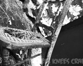8x10 Abandoned Photography Print Taken in Cumberland, RI in 2011 Spooky/Halloween/Goth/Gothic/Fine Art/Black and White/Photo/Print/Retro