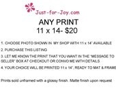 11x14" Print, Unique Gift, Large Wall Art, Affordable Home Decor, Flowers, Nature Images