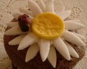 12 Daisy and Ladybug Fondant Cupcake Topper