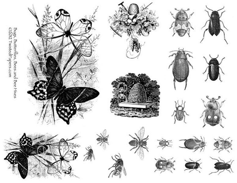 Twisted Papers Vintage Digital Victorian Nature Illustrations, Bugs, Butterflies, Bees and Bee Hives Collage Sheet