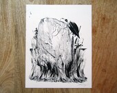 The White Whale III