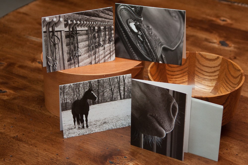 Blank Notecard Set - Four Horse Scenes - Great Gift for Horse Lovers