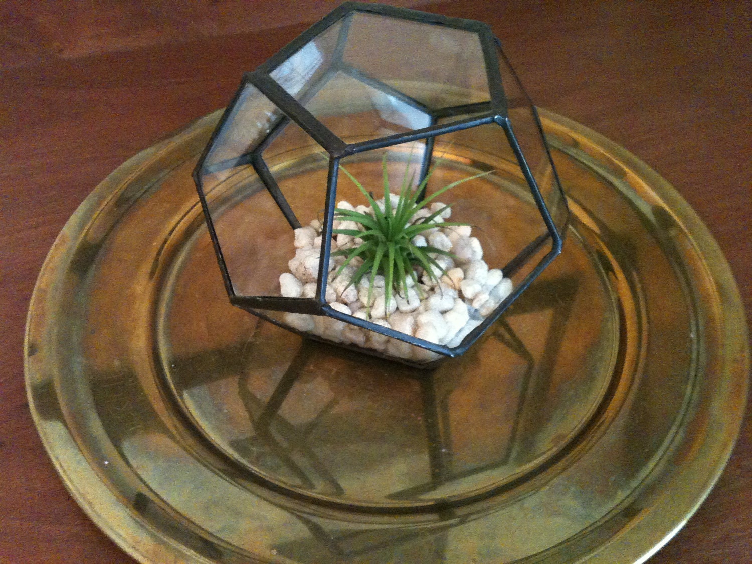handmade geometric small pentagon glass terrarium
