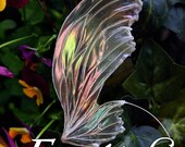 EBOOK PDF download e-mail - Making Fairy Wings with Nenúfar Blanco