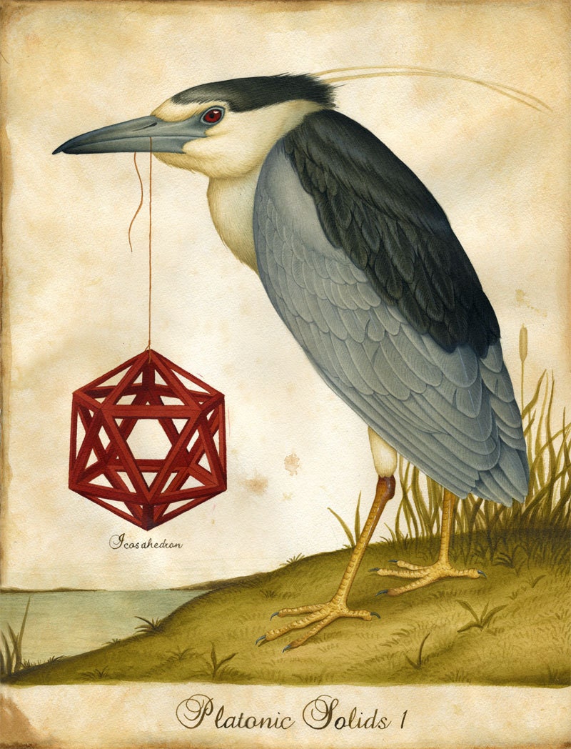 Platonic Solids 1 - Ltd Edition Giclee Print (Edition of 50)