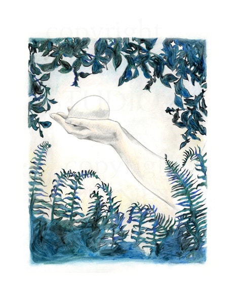Woodland Morning print, botanical painting and drawing, ferns, forest, nature, egg, blue, spring
