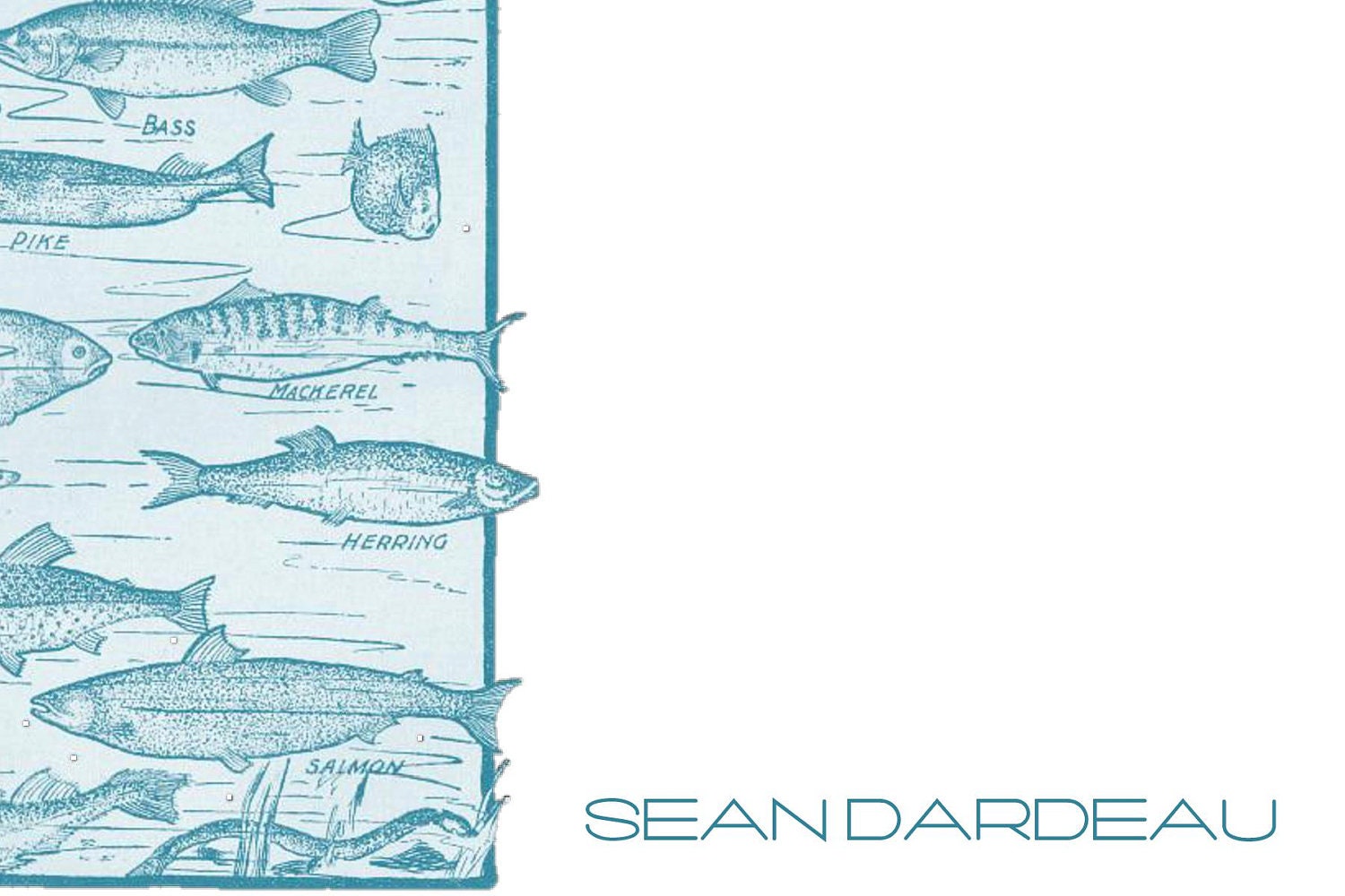 Fish Notes
