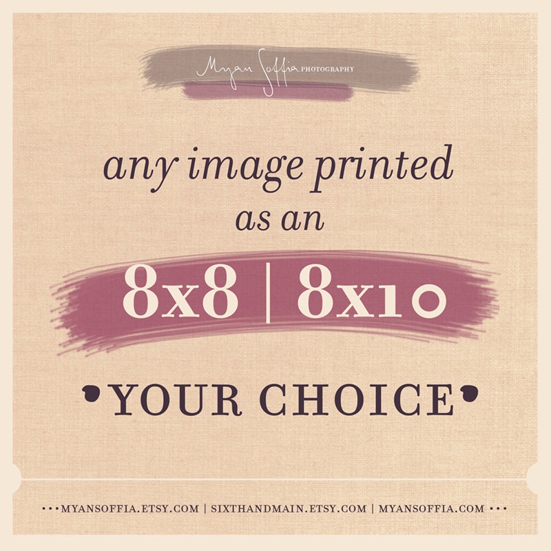 photograph, your choice any image 8x8 or 8x10, los angeles california beach urban botanical, unisex under 30 Myan Soffia