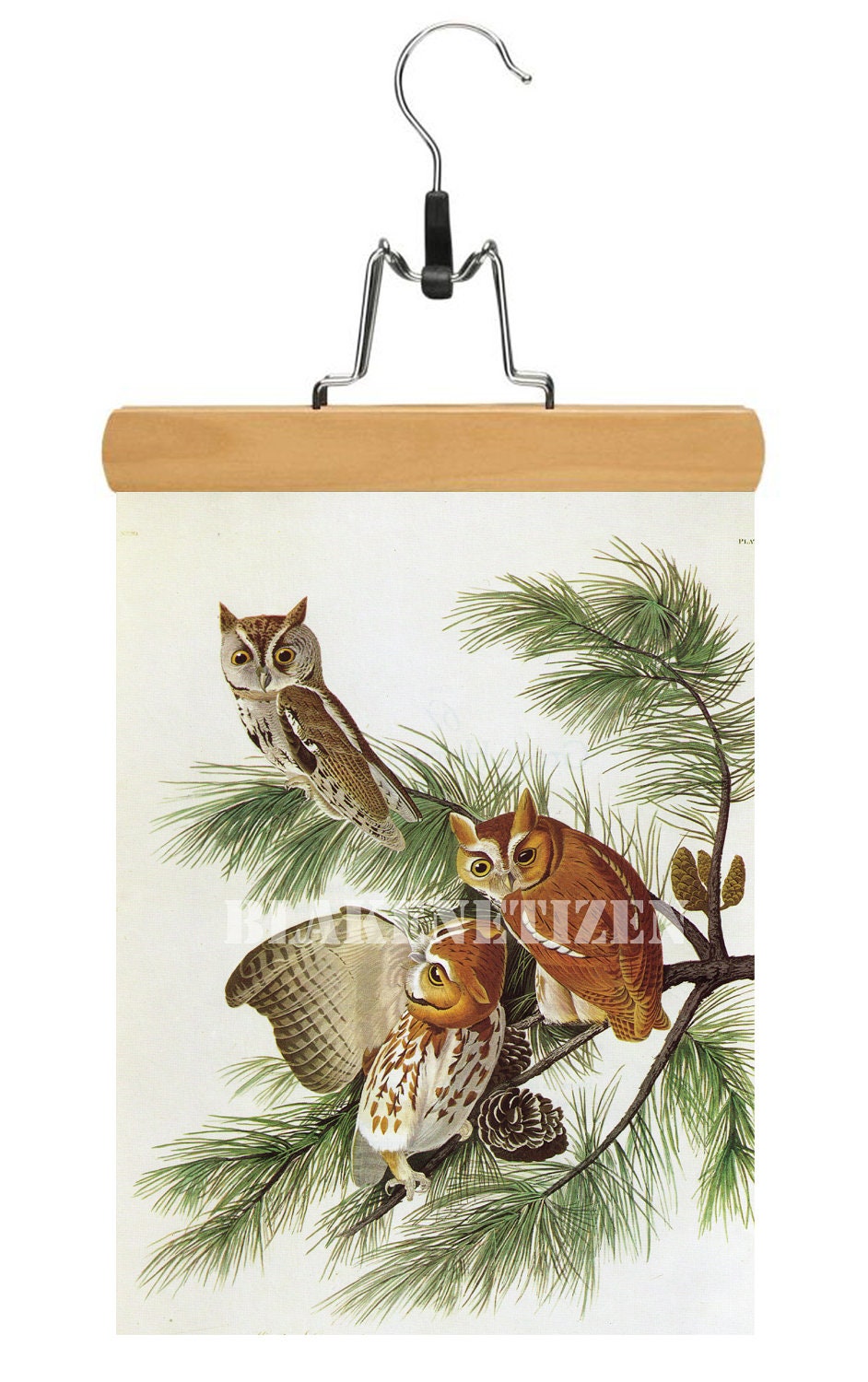 Audubon Streech Owl Vintage Ornithological Art Print on Card stock
