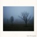 Trees and Fog Photograph 8"x10" Affordable Fine Art Print. Dark Blue Skies Bare Winter Trees Branches.