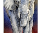 Shades of Africa - Elephant - Limited edition giclee print