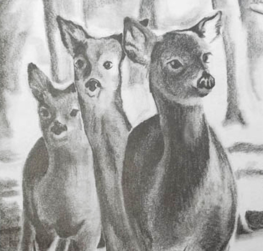 Black and white drawing of deer in the woods // graphite nature drawing