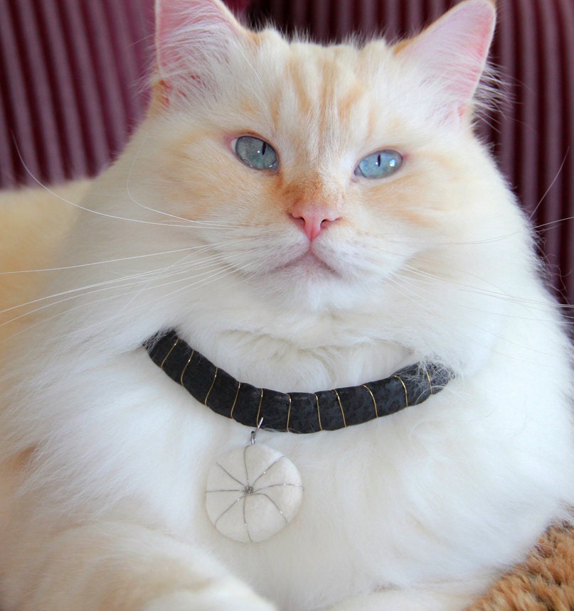 MY STAR cat hair necklace