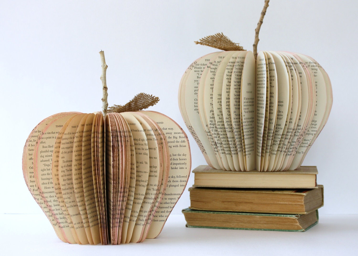 large VINTAGE BOOK APPLE /// made to order