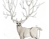 Giclee Print, 2012 Word.A.Day.Illustration print, branching antlers of a deer