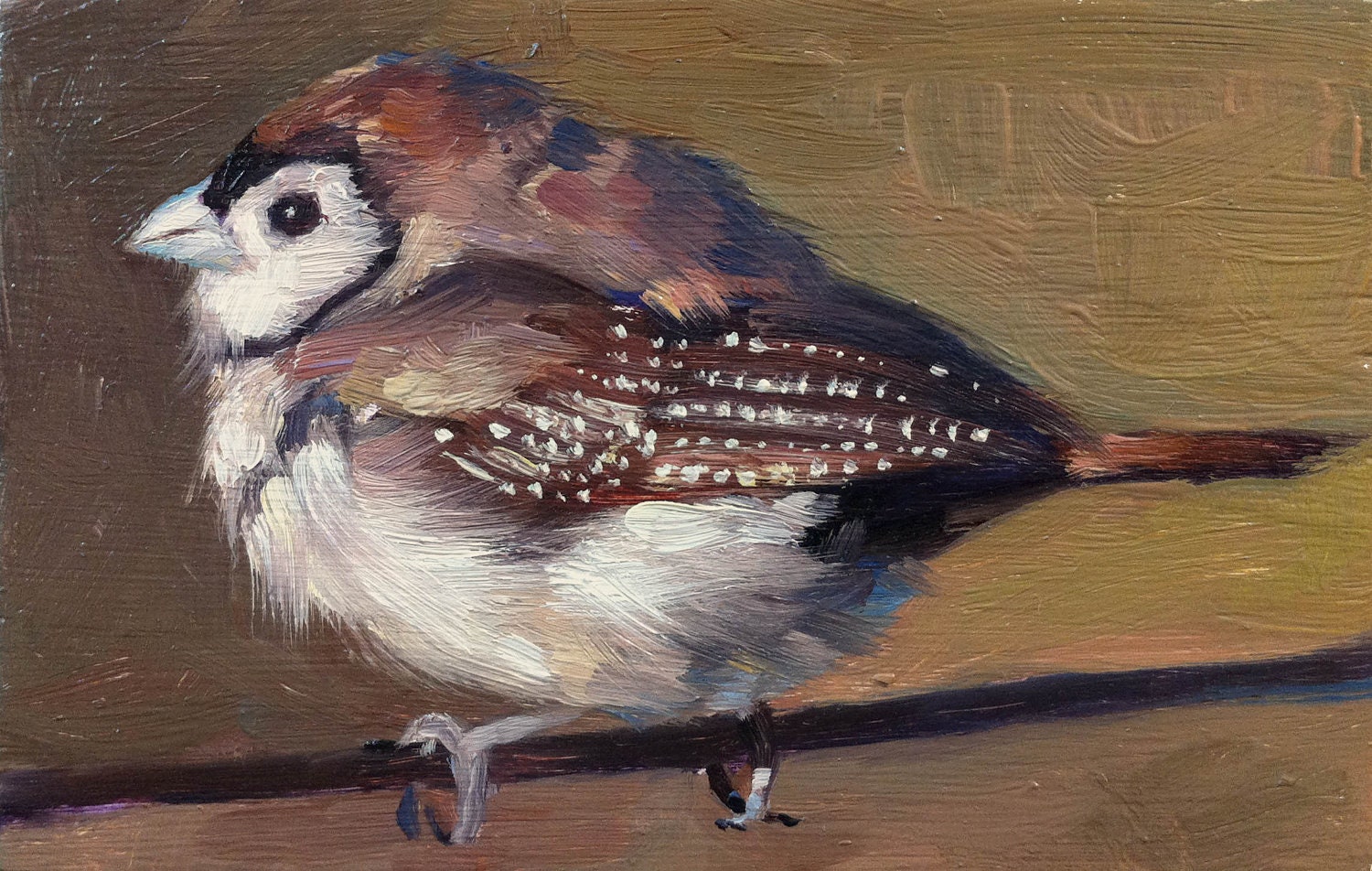 Double-barred Finch - Bird Painting - Open Edition Print of Original Oil Painting