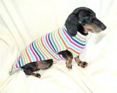 Dachshund jumper sweater bright colorful handmade clothing for pets