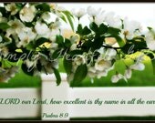 Inspirational- Scripture-Set of FIVE-Premium Quality Handmade 5x7 Photo Blank Note Greeting Cards-Choose Five From ALL Card Listings