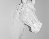 White Faux Taxidermy - Faux Horse Head - Equine Art - The Dorado - White Resin Horse Head Mounted- Faux Head Wall Mount