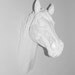 White Faux Taxidermy - Faux Horse Head - Equine Art - The Dorado - White Resin Horse Head Mounted- Faux Head Wall Mount