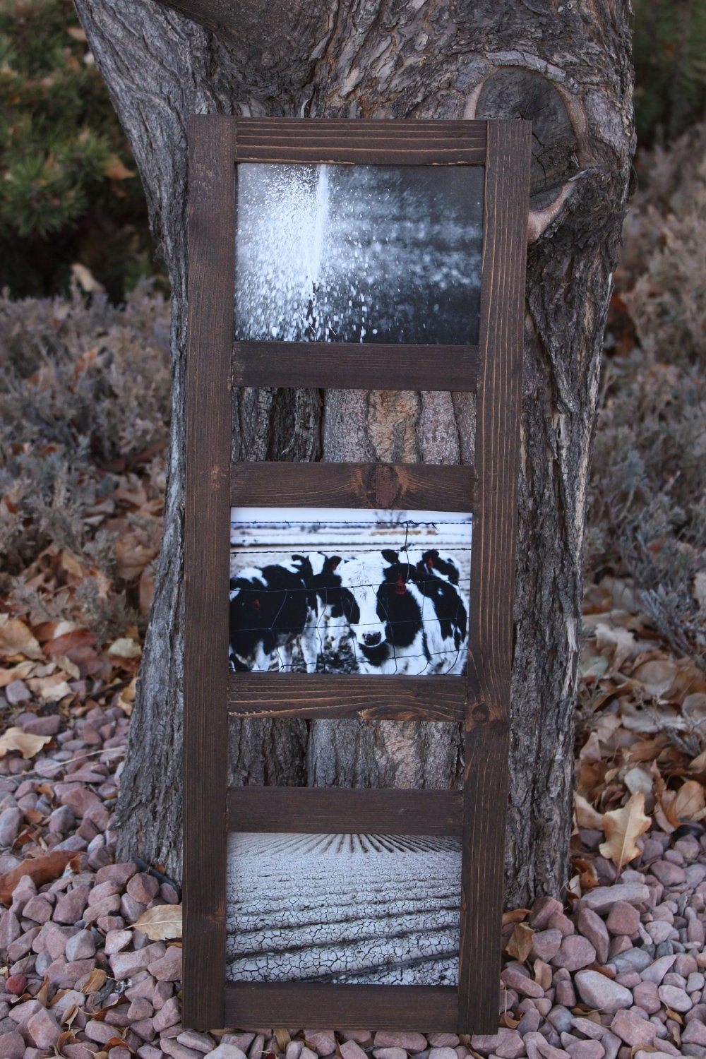 Agriculture - Custom Framed 5x7 Photo Collection - Fine Art Photography