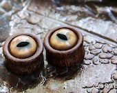 Avatar Wood Plugs / Exotic Wood & Yellow Lynx Eyes / (3/4" - 7/8") (19-22mm)