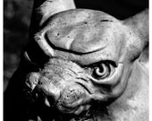Gargoyle - Black and White Photography - 8x10 fine art print - gothic creepy monster gray eyes weird spooky halloween home decor