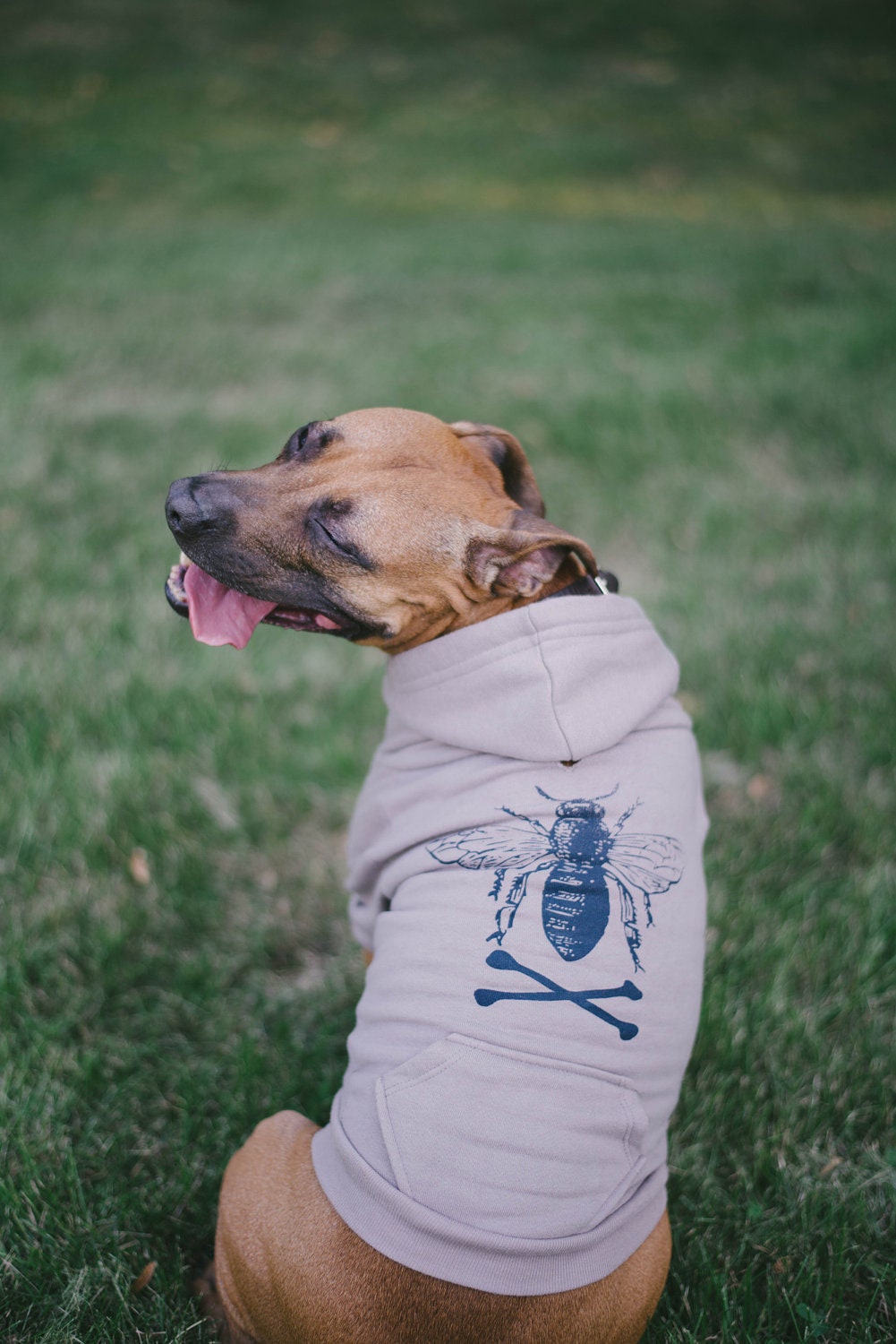 bee and crossbone dog hoodie size medium