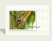 Butterfly thank you card / Butterfly card / thank you card / owl butterfly photo / brown butterfly / diamond pattern background
