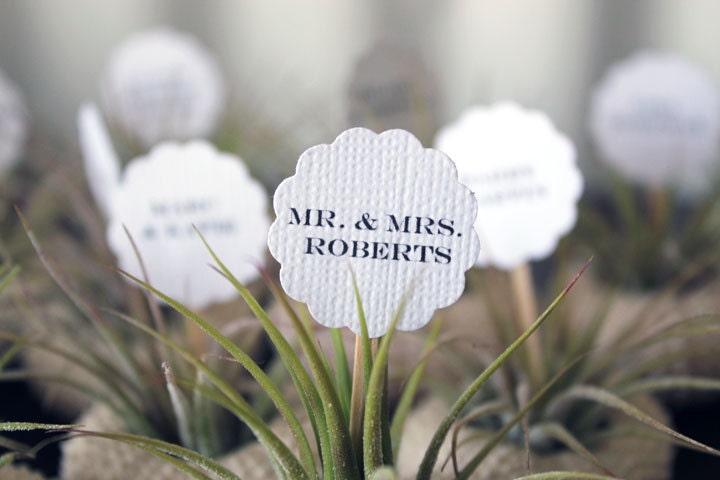 party place cards  // air plant party favors