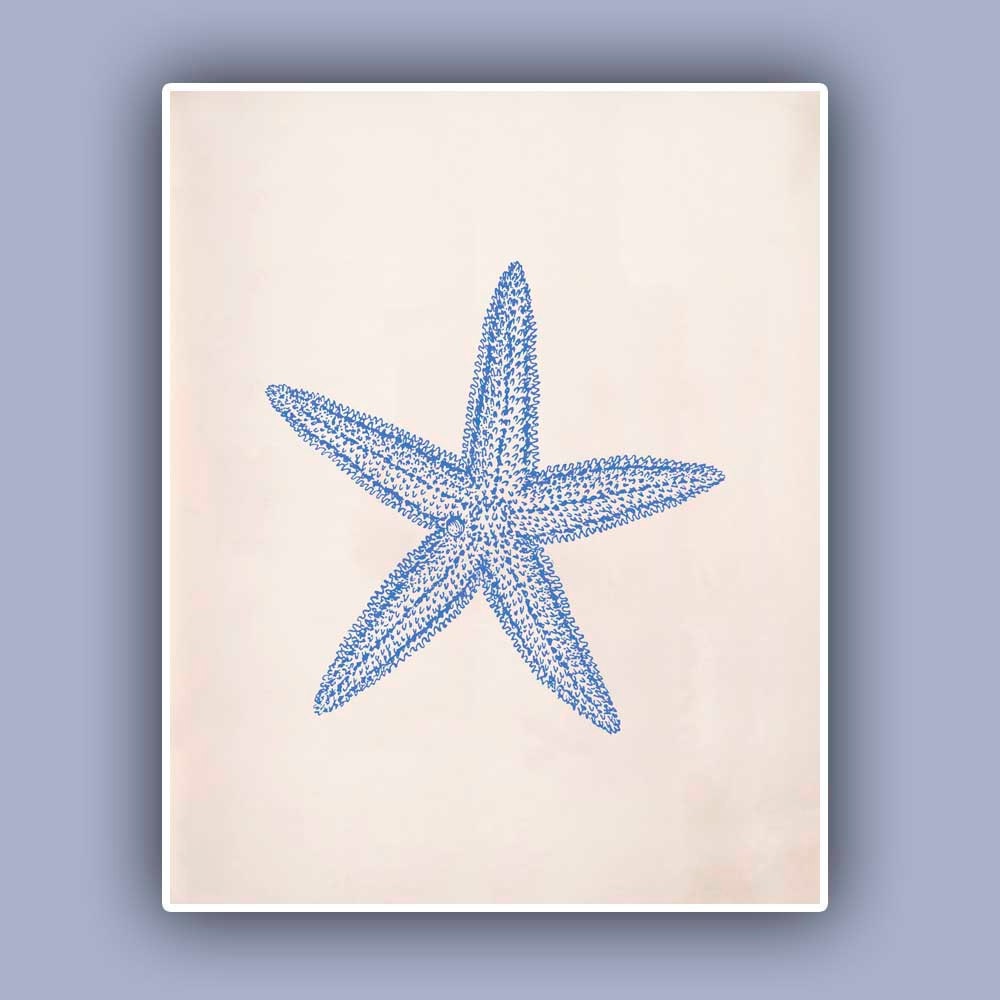 Blue Starfish Print,  Sea Star 8x10 print,  Marine Wall Decor, Nautical art,  Seashore art  Print, Coastal Living