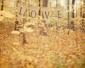 Autumn Photography, Valentine Day, Golden Yellow Leaves, Rustic Woodland, Romantic, Forest, Wedding, Yellow, Honey Gold - All is love - EyePoetryPhotography