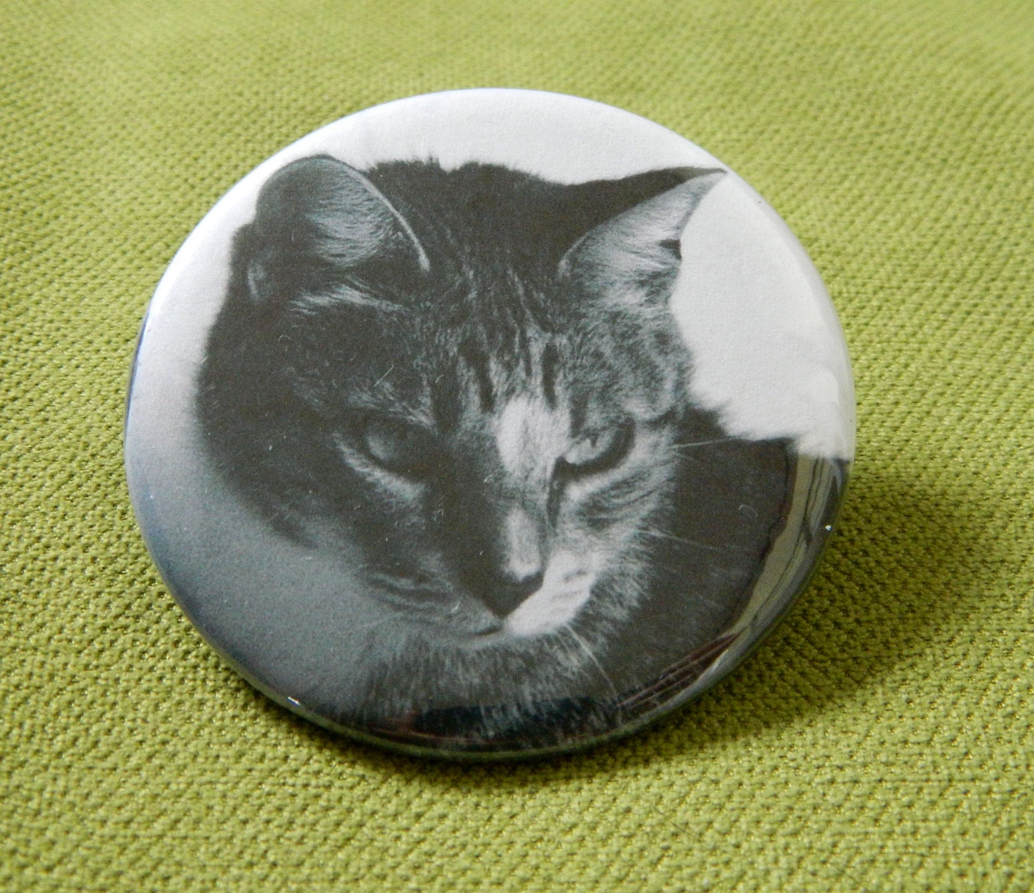 Newt Photograph Pocket Mirror By STUFF