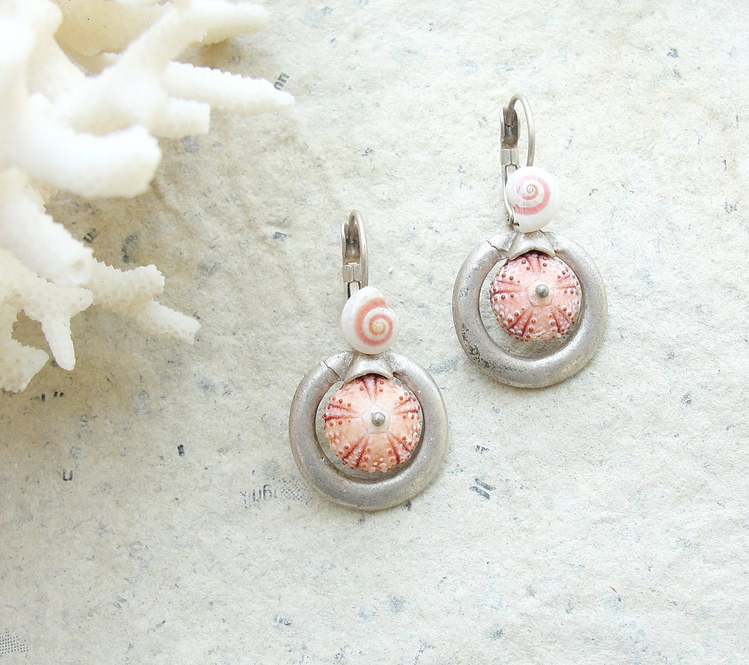 Sea Urchin Earrings - Special Urchin and Shell - One of a kind