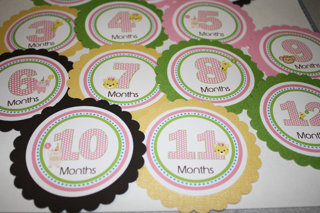 Zoo Party Pink Sweet Safari Baby's 1st Year Tags - girl or boy - ANY COLOR or THEME Il_570xn