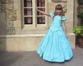 Ultimate Princess Collection  FIVE dresses: Cinderella, Belle, Aurora, Snow White AND Ariel plus free petticoat in any little girls size 2-8