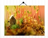 Tiny House in the Moss 8X10  Photograph...Autumn Trends Fall Trends Halloween House in the Woods Leaves Moss Woodland Scene Orange Nature