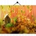 Tiny House in the Moss 8X10  Photograph...Autumn Trends Fall Trends Halloween House in the Woods Leaves Moss Woodland Scene Orange Nature