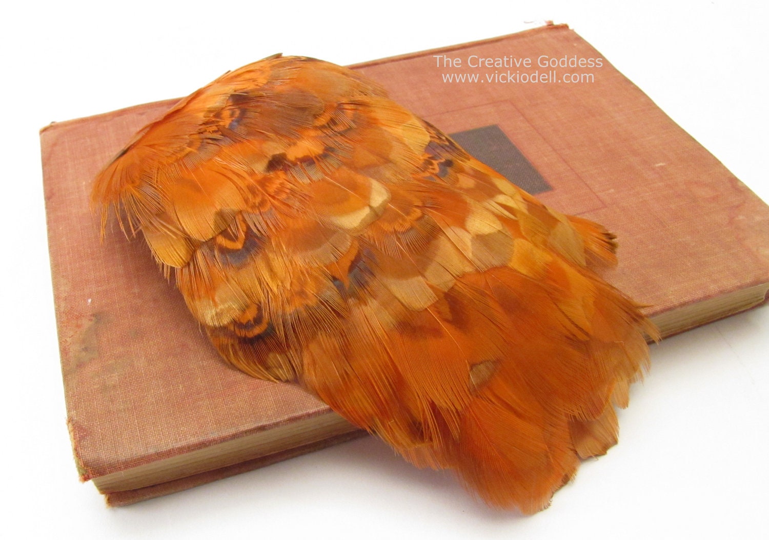 Pheasant Feather Pad Vintage - Coppery Orange - Pieces for Earrings, Sewing, Jewelry, Craft, Millinery, Headbands