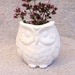 Owl Vase in Stoneware with White Glaze