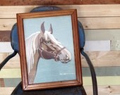 Paint By Numbers Horse Painting