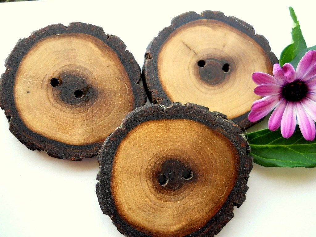 3 Rustic Wood Buttons with Bark Michigan Black Walnut Tree Branch Buttons - 2 1/8 inch (5.4 cm) For Kntting Crochet and Sewing Projects