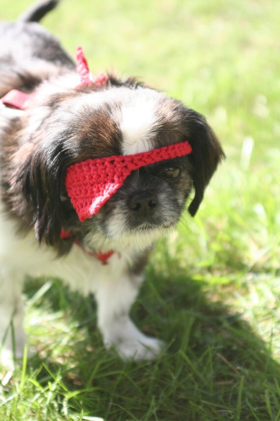 red crocheted pirate eye patch for small dogs by yourmomdesigns