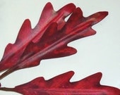 Millinery Leaves Turkey / Barn Red Vintage Oilcloth Primitive Country Colors Oak Leaf Wicca Fairy Flower Crown DIY Supply